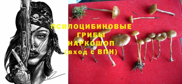 ПСИЛОЦИБИНОВЫЕ ГРИБЫ Зеленокумск