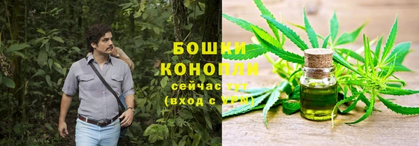 ПСИЛОЦИБИНОВЫЕ ГРИБЫ Зеленокумск